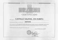 Certificado 4